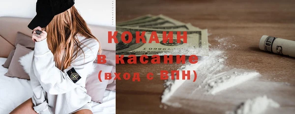 твердый Лагань