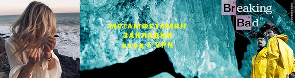 прущие грибы Лиски